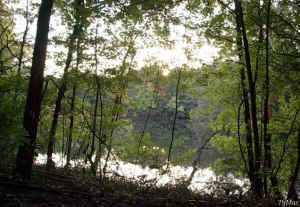 The view from the shelter house over looking Marsh Lake across the lake from the main center and offices of Cincinnati Nature Center Rowe Woods.