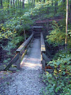 This bridge is one of many in Cincinnati Nature Center Rowe Woods. This one is along the trail that leads to the water fall over look house.
