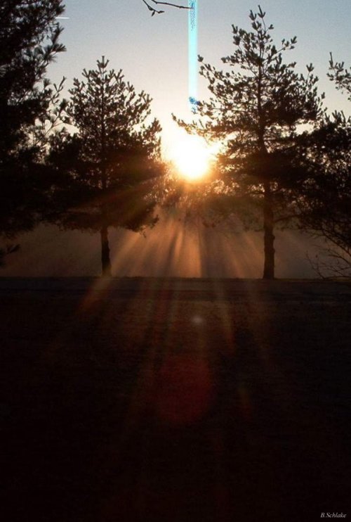 Bob's Pictures Bob's Botanical Gardens Butler County, Ohio